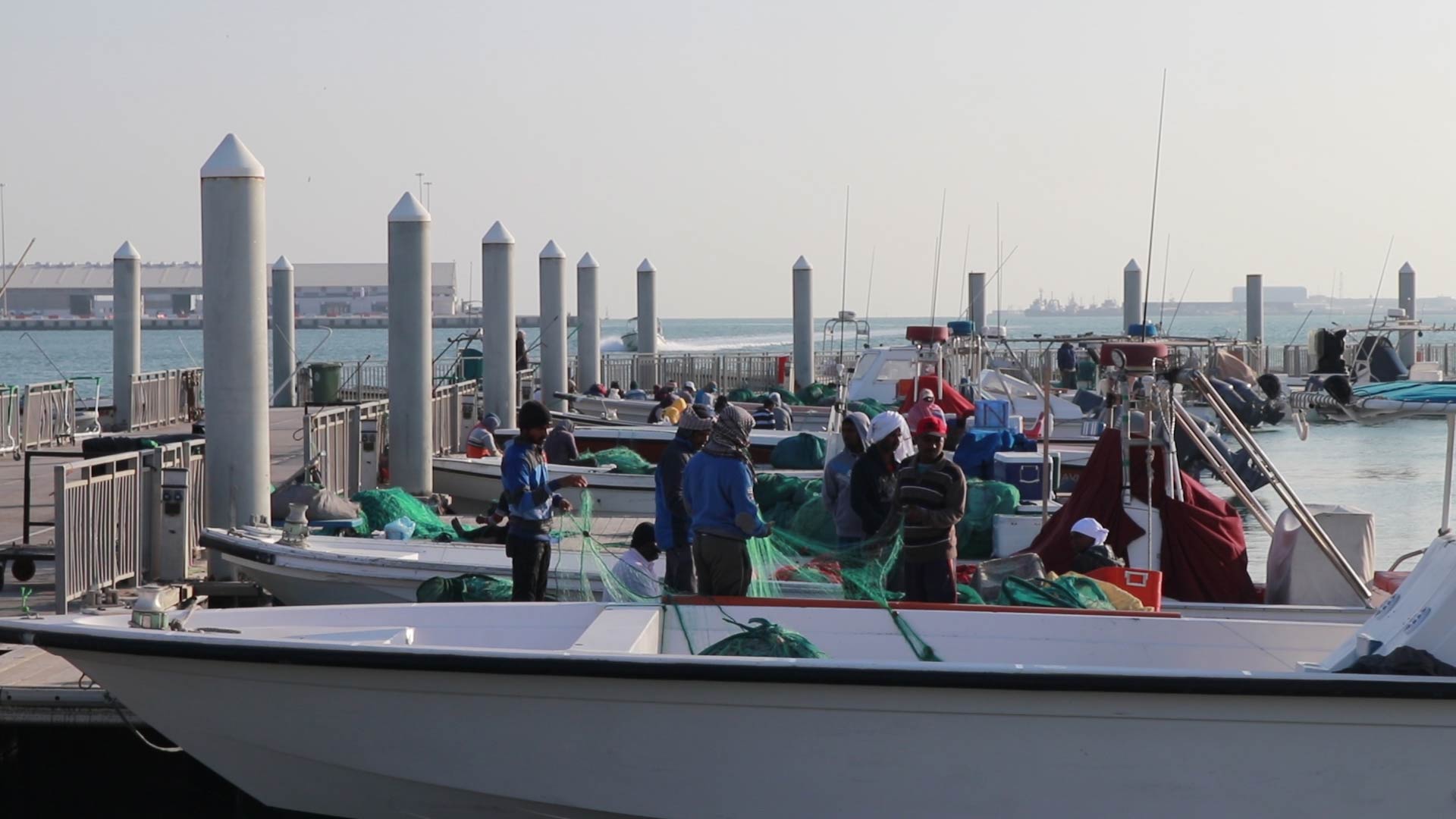 A trip to the Corniche Fish Market with Mama Baba Ganoush